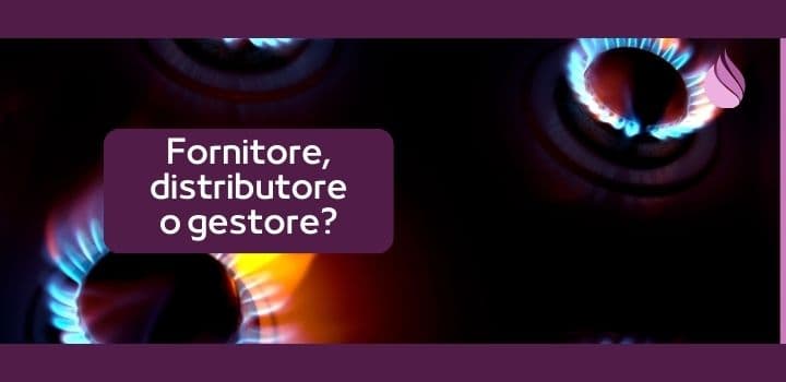 differenza fornitore distributore gestore